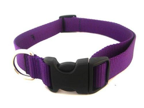 Leads & Collars - Dog: Dog - Webbed