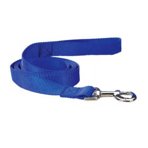 Leads & Collars - Dog: Dog - Webbed