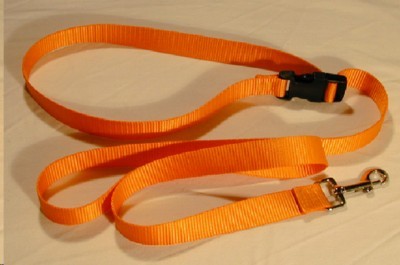 Leads & Collars - Dog: Dog - Webbed