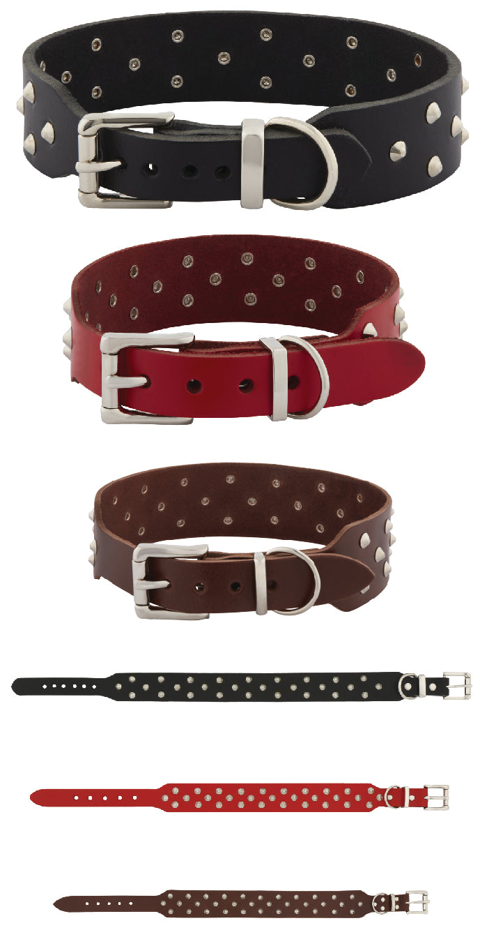 Leads & Collars - Dog: Dog - Leather