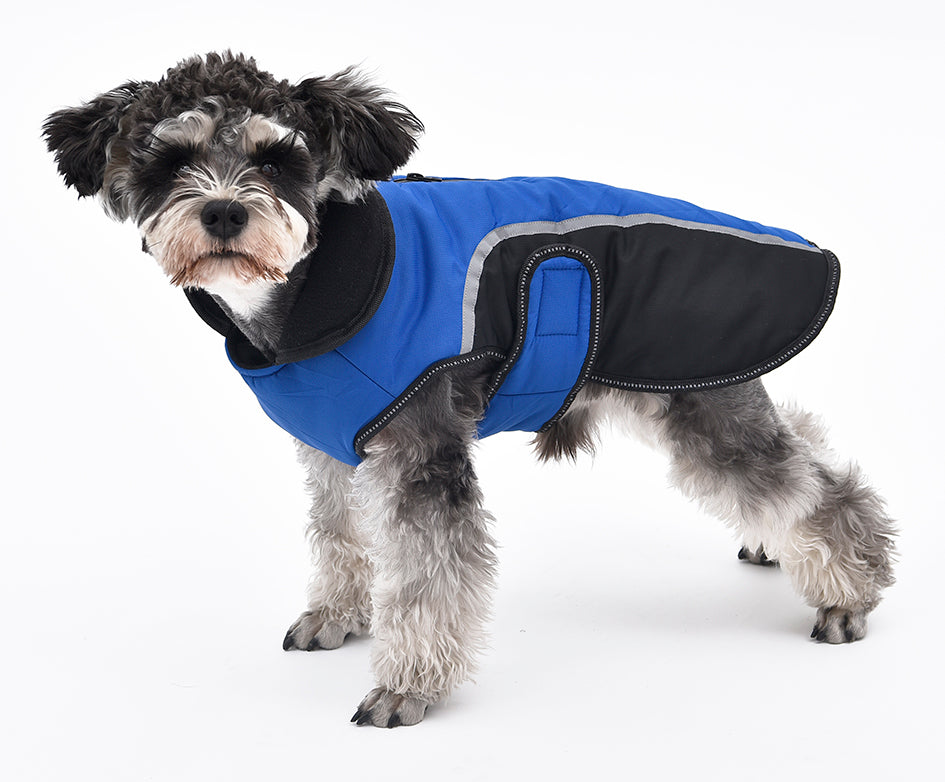 Pet Clothing (Coats & Jackets): Weather Master Classic