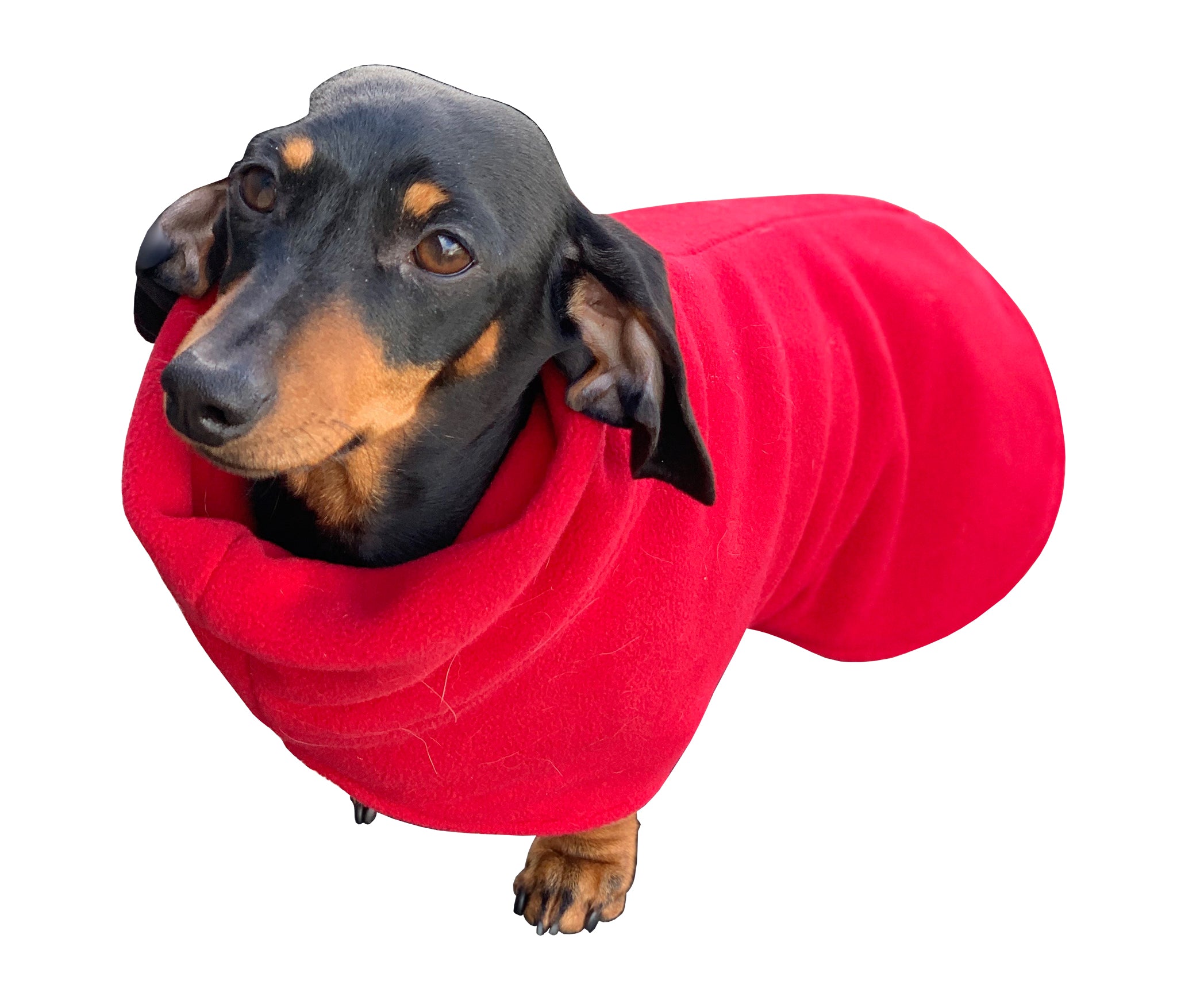 Pet Clothing (Dachshund Style)