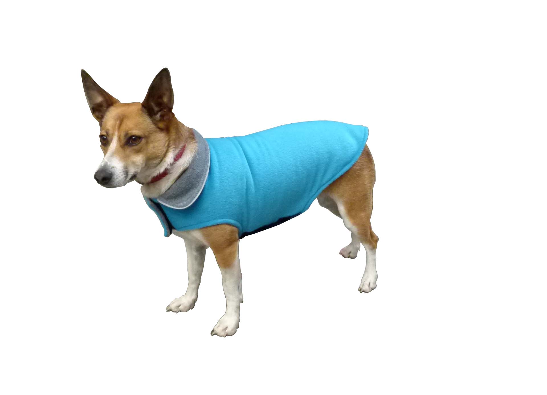 Pet Clothing (Thermawarm)